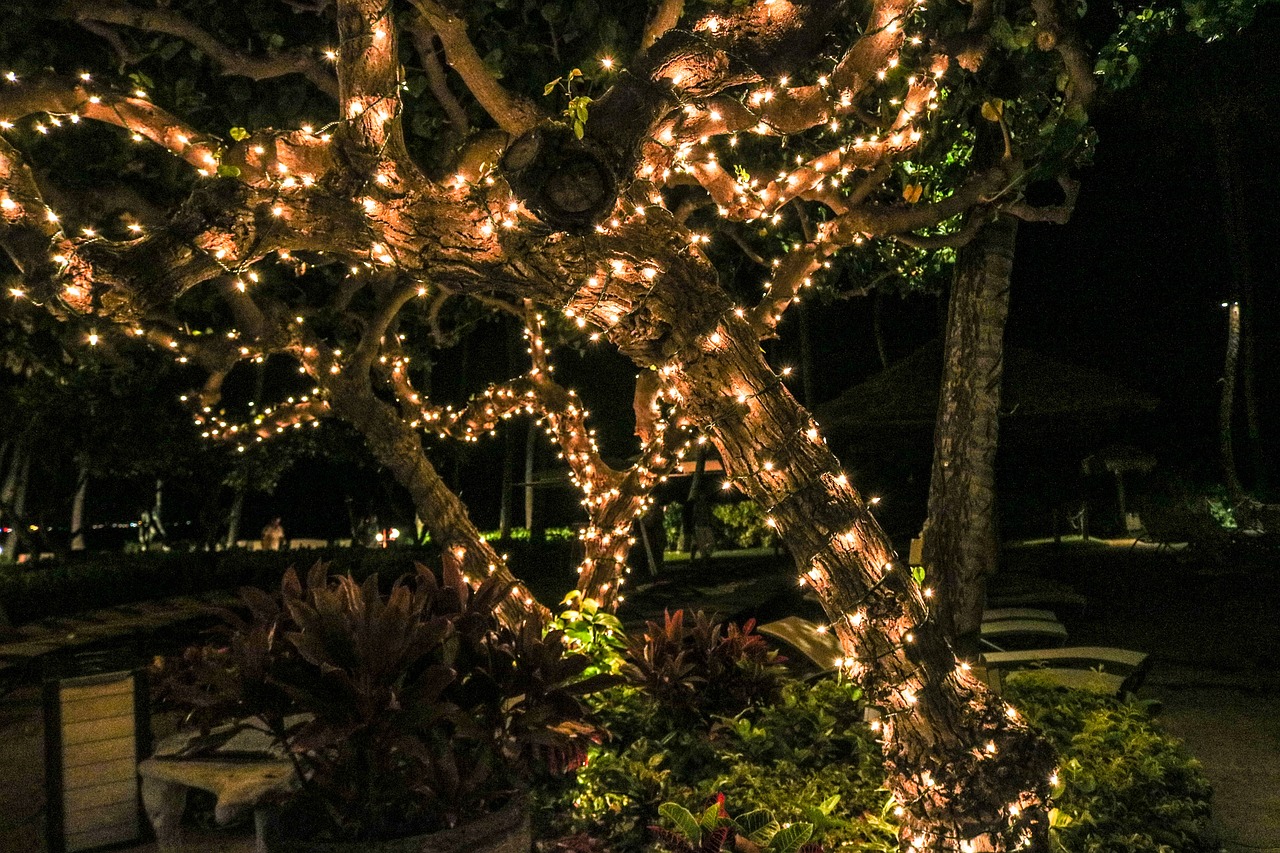 Garden Lights to Your Outdoor Garden